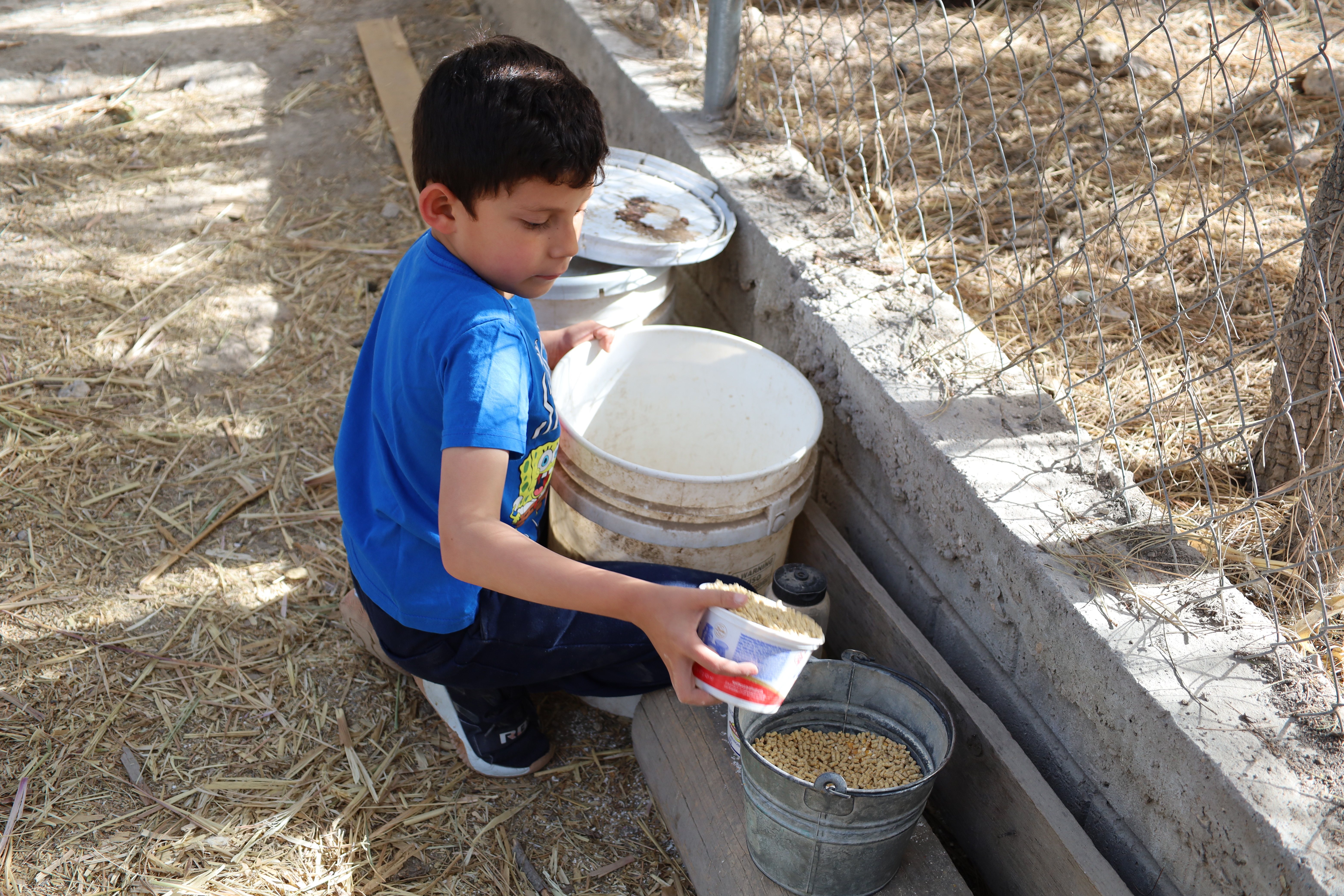 Grupo estableciendo acuerdos comunitarios