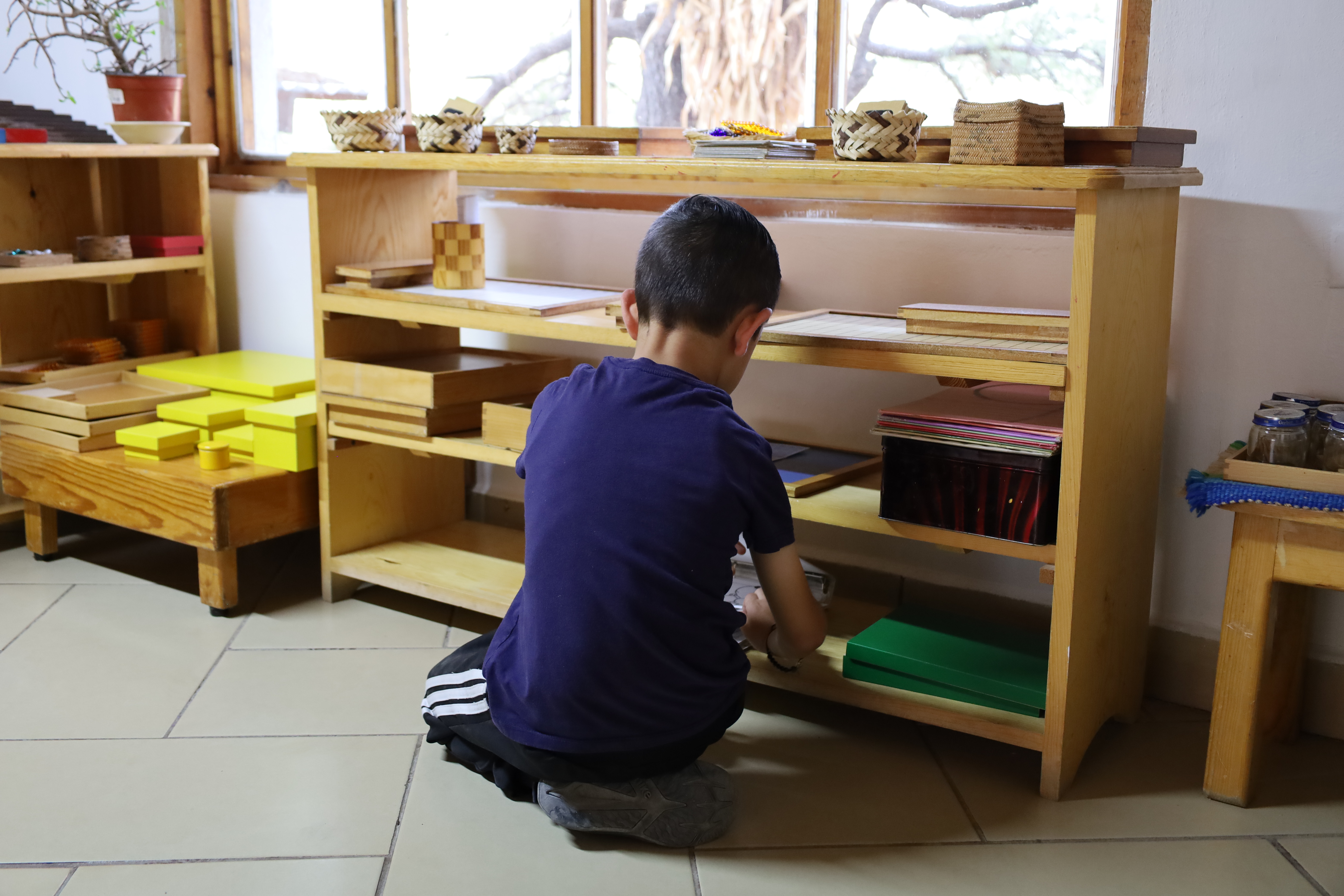 Desarrollo de protocolos