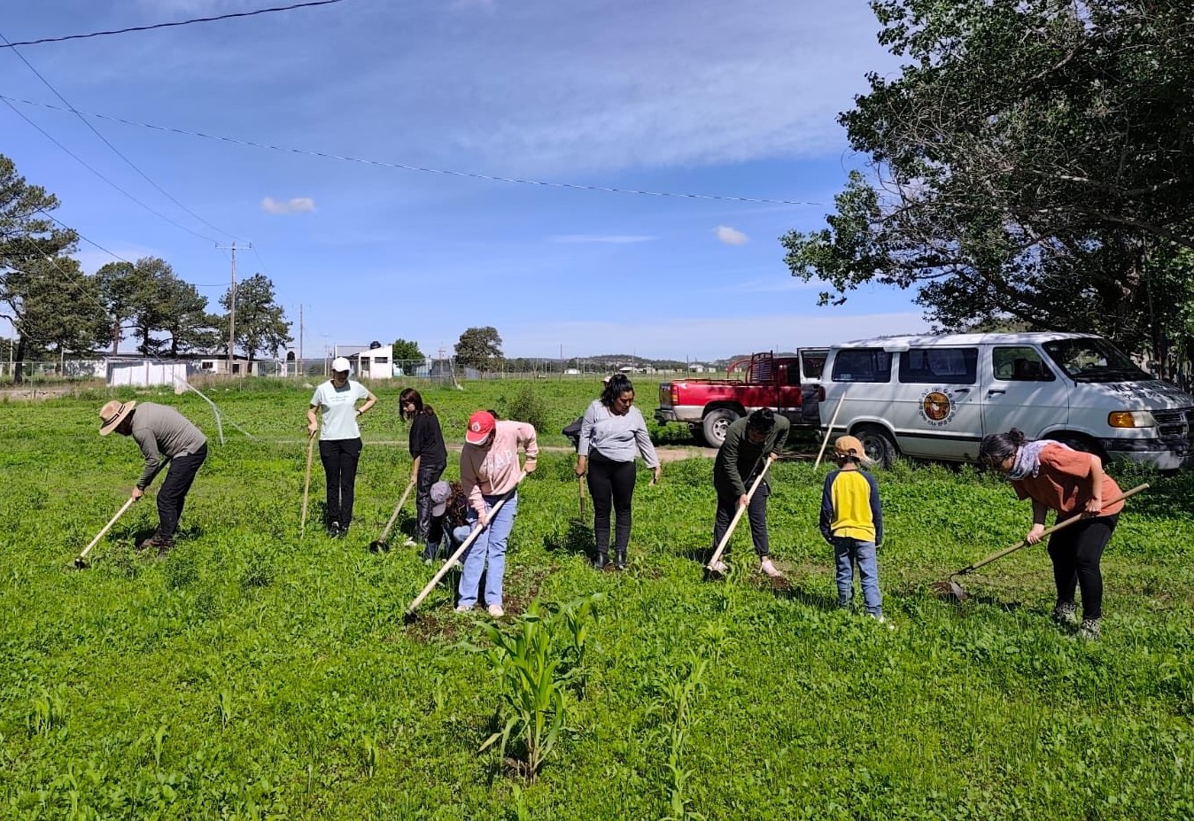 Niño trabajando de forma autónoma