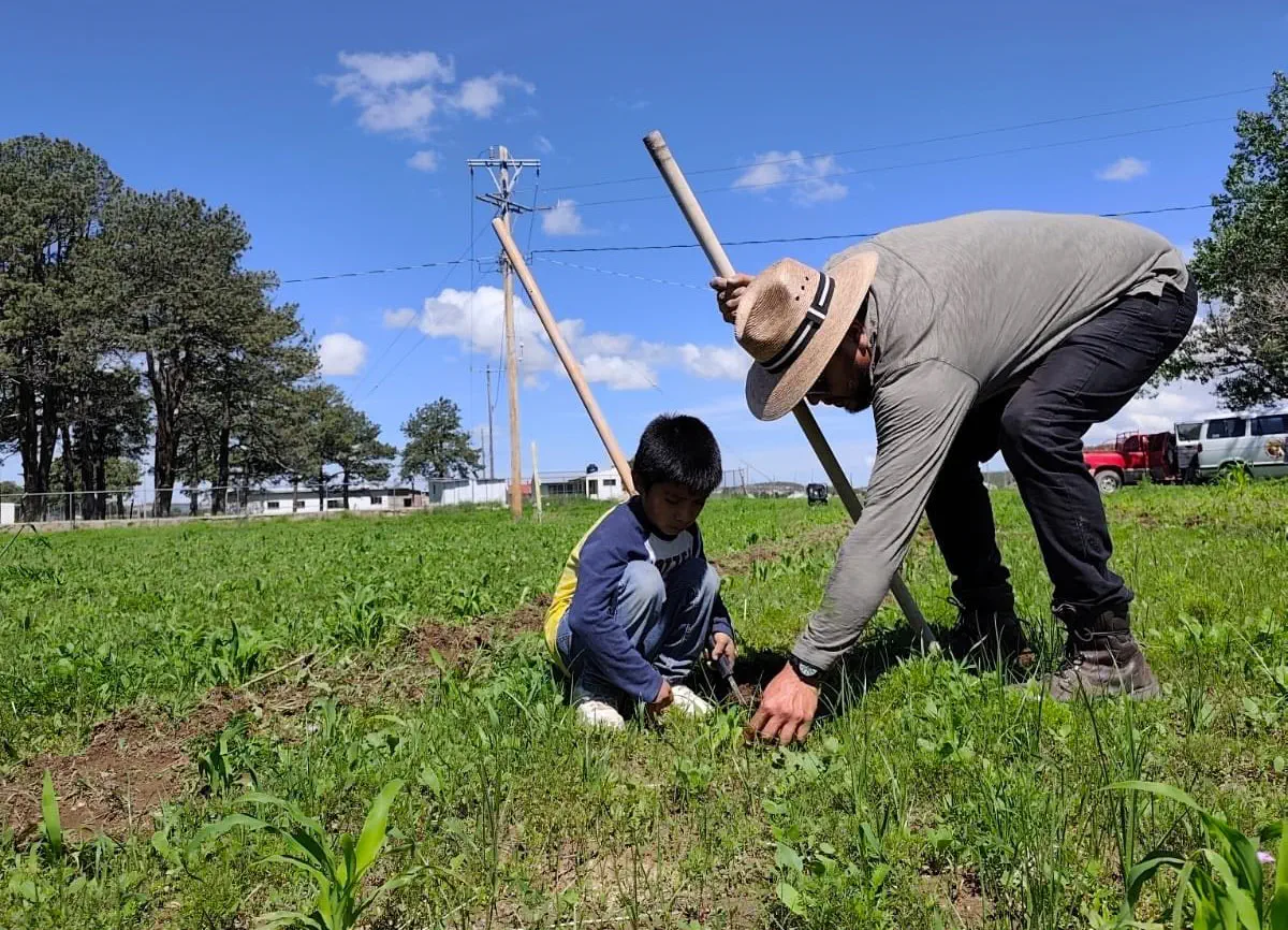 Detonantes de Aprendizajes