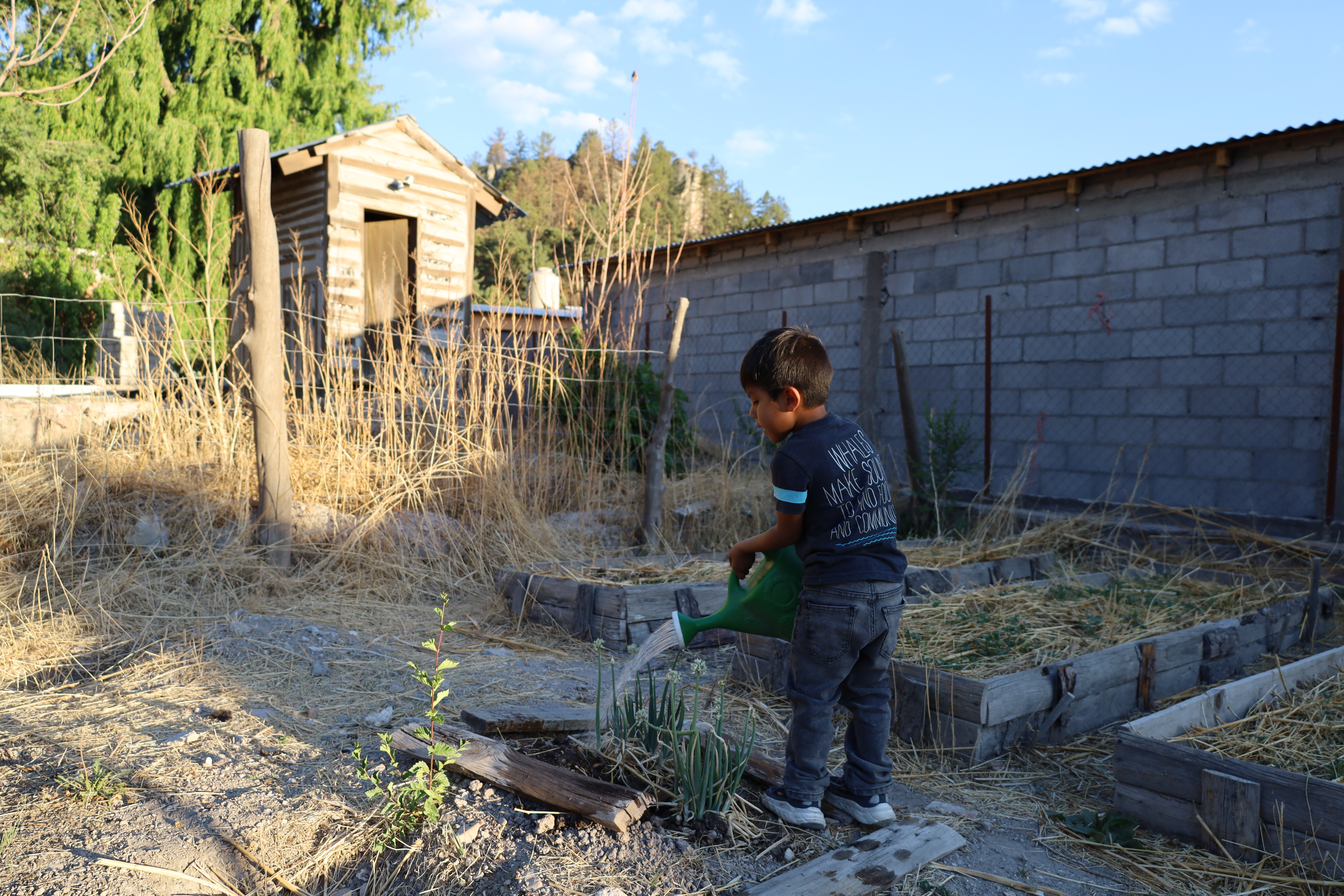 Huerto escolar con plantas creciendo