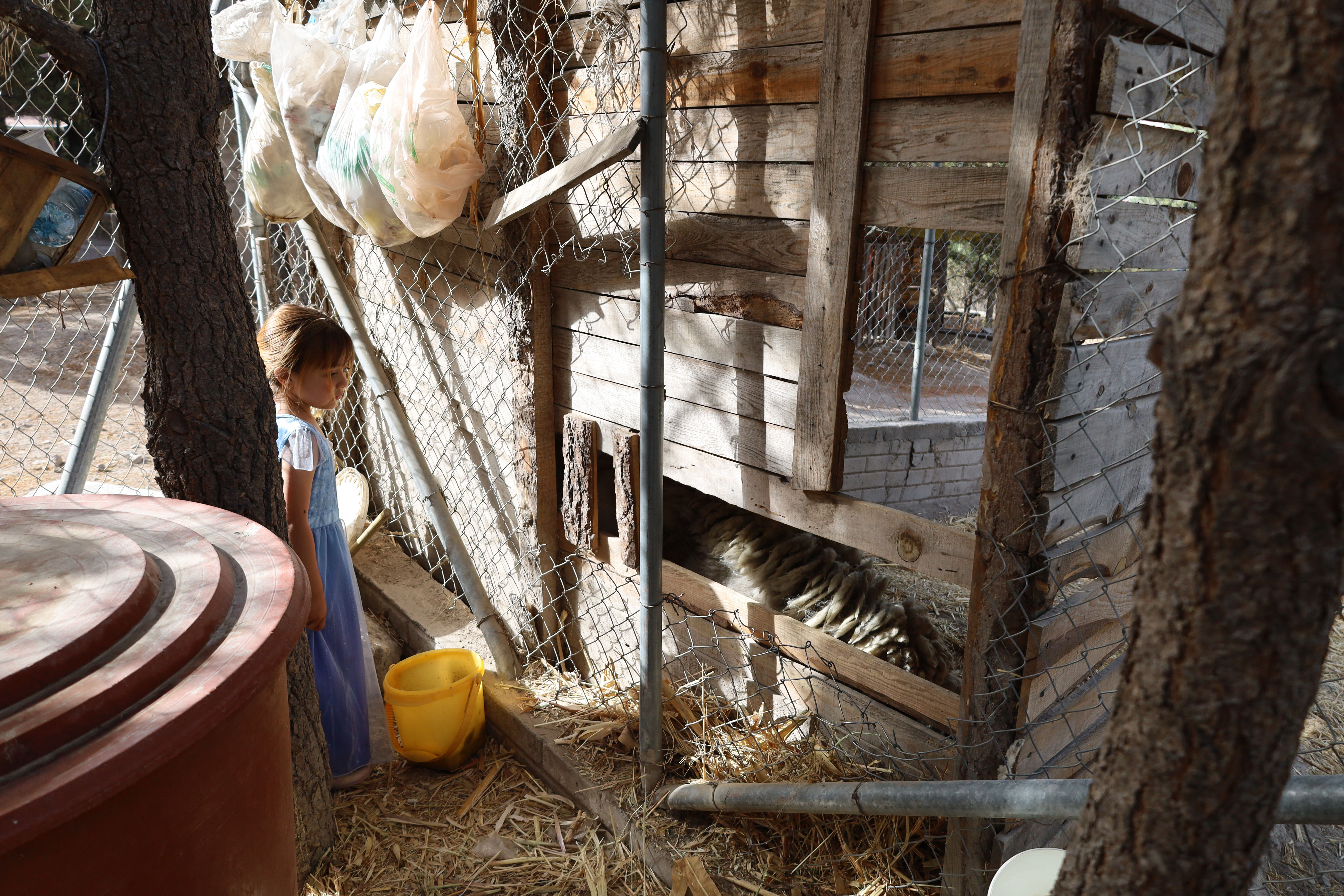 Grupo estableciendo acuerdos comunitarios