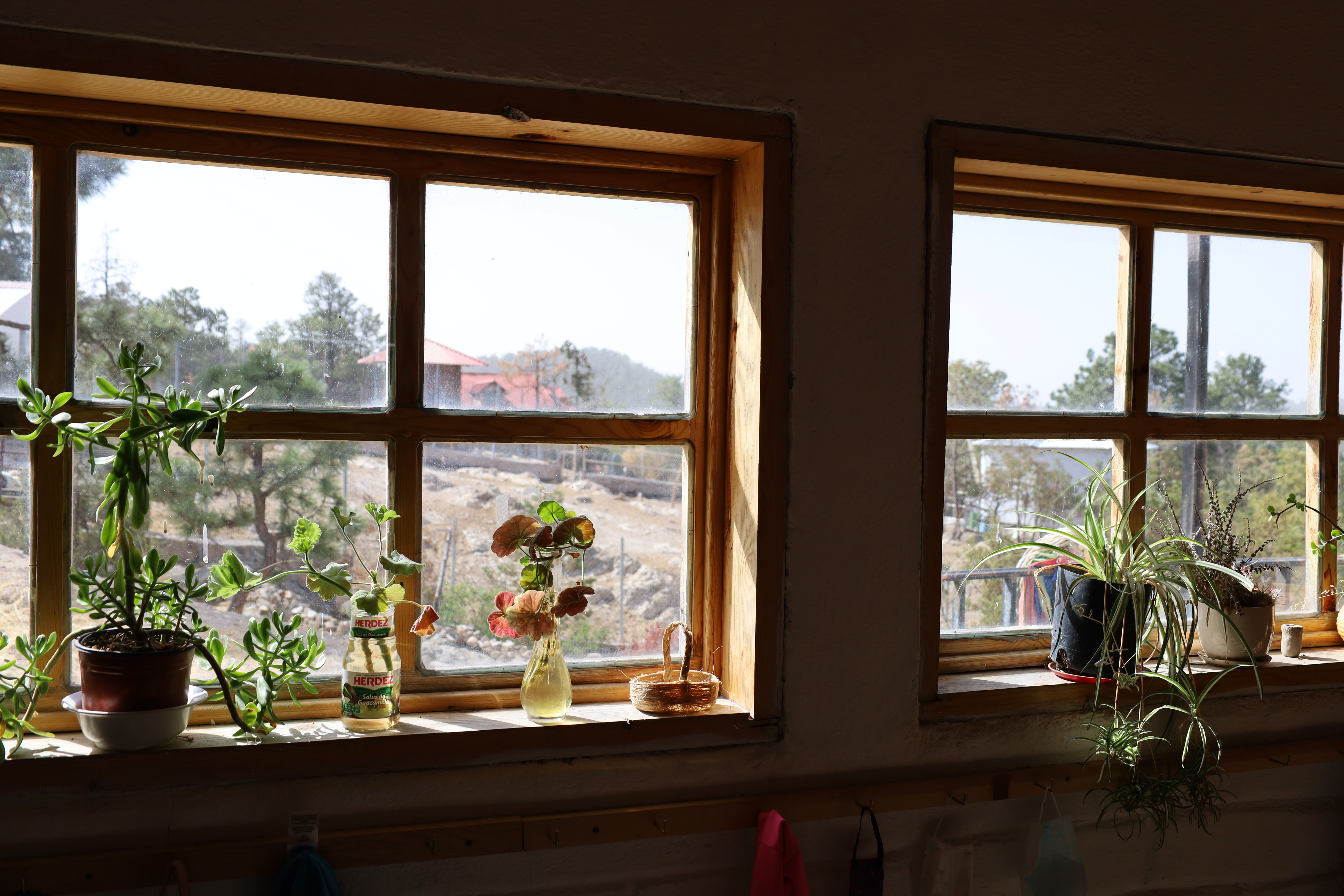 Aula al aire libre con estudiantes